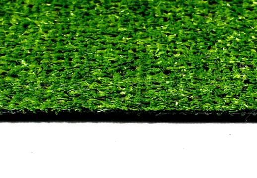 Premium Grass «Eco 10 Green»