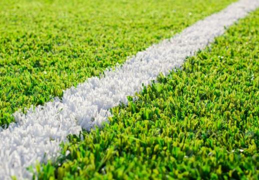 Premium Grass «Разметочная трава»